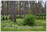 Посмотреть в более высоком разрешении
