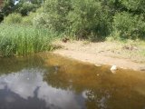 Посмотреть в более высоком разрешении