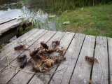 Посмотреть в более высоком разрешении