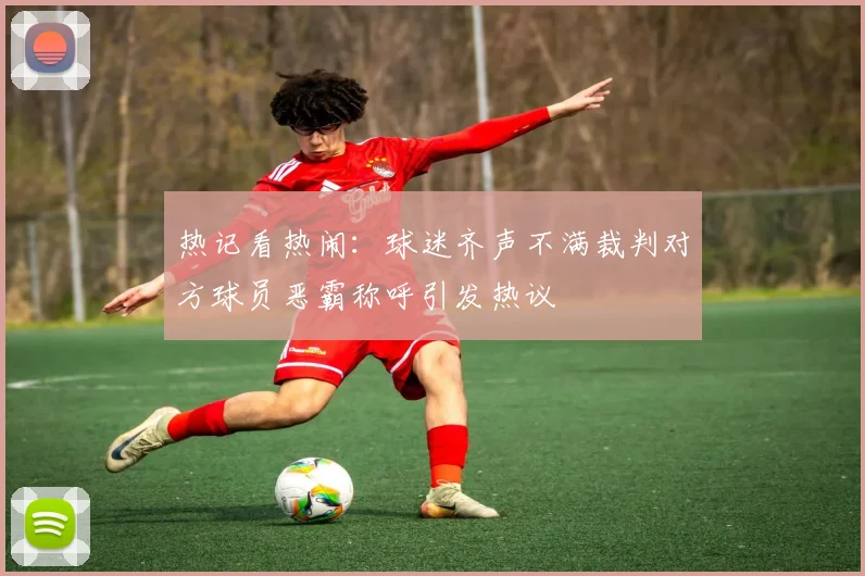 热记看热闹：球迷齐声不满裁判对方球员恶霸称呼引发热议