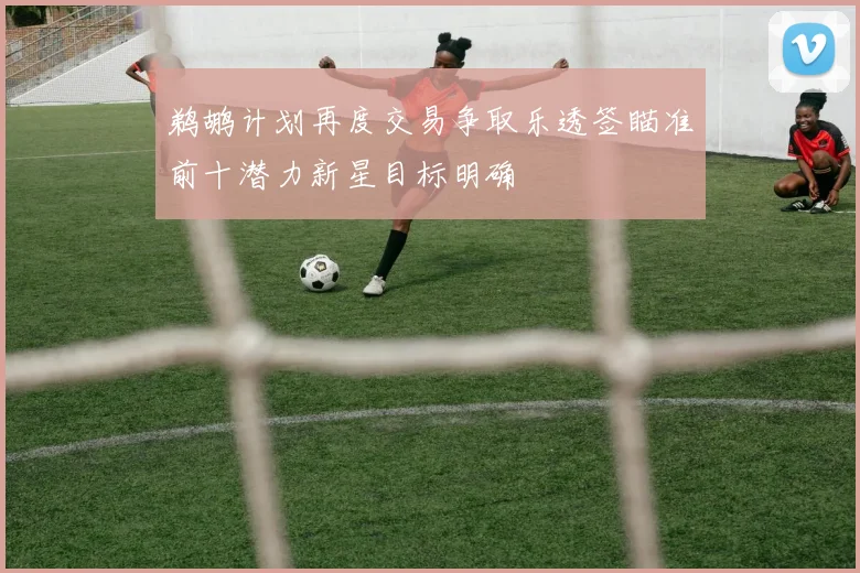 鹈鹕计划再度交易争取乐透签瞄准前十潜力新星目标明确